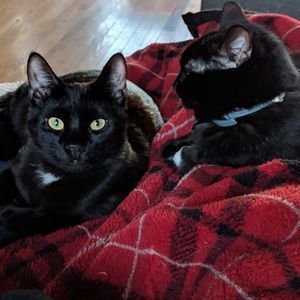 Meet your Posher, Audra